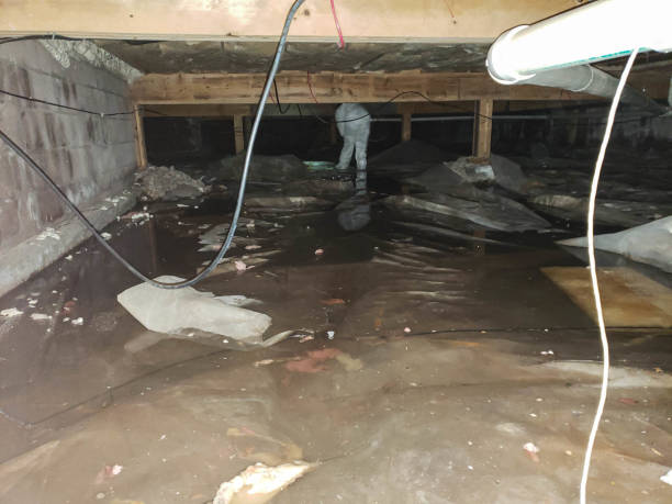 Best Sewage Cleanup and Restoration in Croom, MD